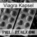 Viagra Capsule 31